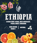 Ethiopia - Gera Geisha Natural G1