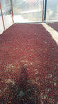 Costa Rica – Moka Natural Nano Lot